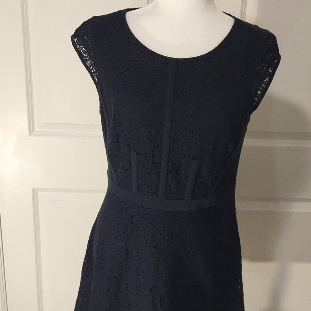 The limited navy lace dress
